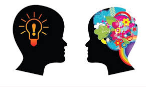 سواد شامل چه مواردی است؟